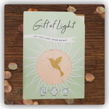 Geschenklichtje 11 Kolibrie