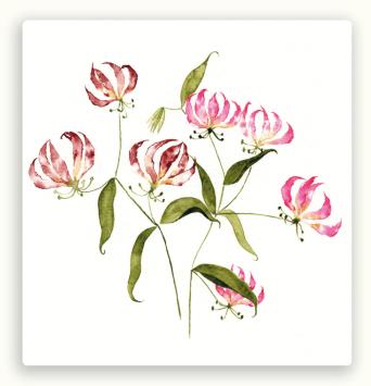 Vierkante postkaart LY26