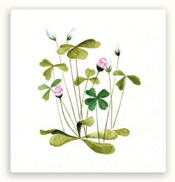 Vierkante postkaart LY33