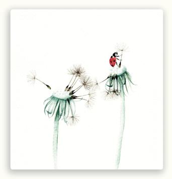 Vierkante postkaart LY36