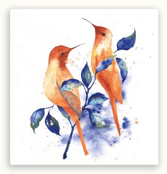 Vierkante postkaart LY77